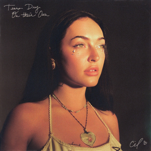 阿豪阿雯君别墅狂欢后续更新了吗
