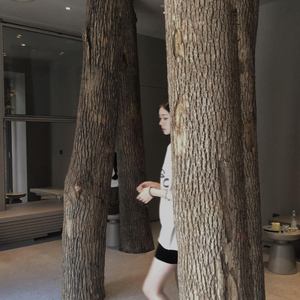 阿豪阿雯君别墅狂欢后续更新了吗
